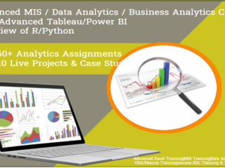 mis-jobs-in-delhi-ncr-by-sla-consultants-noida-corporate-hiring-coordination-for-sla-mis-students